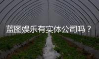 蓝图娱乐有实体公司吗？深入解析其线下运营与资质背景