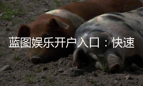 蓝图娱乐开户入口：快速注册指南与独家优惠一览