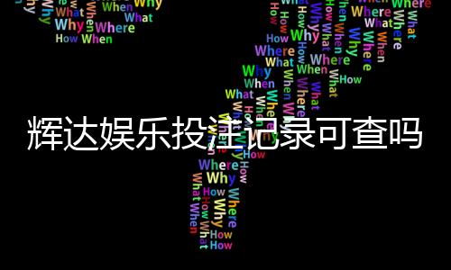 辉达娱乐投注记录可查吗？一文详解查询方法与注意事项