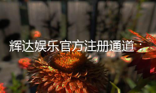 辉达娱乐官方注册通道:轻松开启您的顶级博彩体验