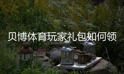 贝博体育玩家礼包如何领取？新手福利、优惠及使用攻略详解