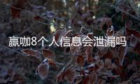 赢咖8个人信息会泄漏吗？深度解析平台安全防护措施