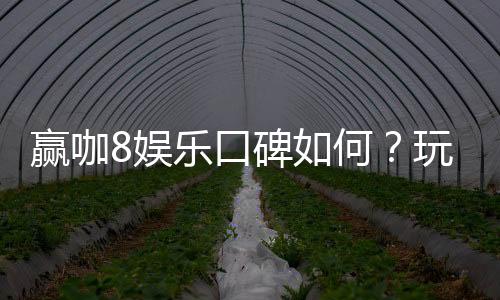 赢咖8娱乐口碑如何？玩家真实评价与体验分享