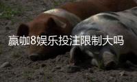 赢咖8娱乐投注限制大吗？深度解析平台规则与投注策略