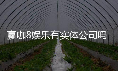 赢咖8娱乐有实体公司吗？深入解析其线下运营背景