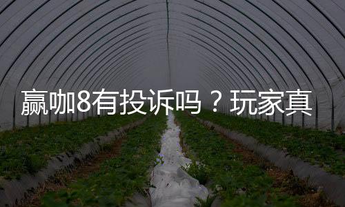 赢咖8有投诉吗?玩家真实反馈与平台解析