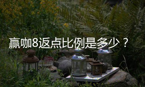 赢咖8返点比例是多少？揭秘高返点优惠内幕