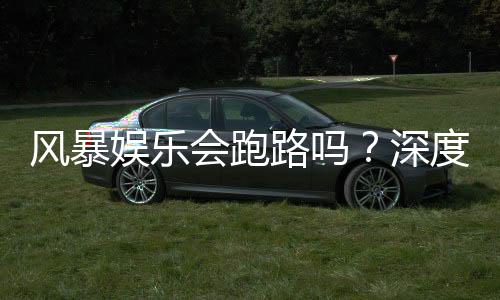 风暴娱乐会跑路吗？深度解析平台可靠性与资金安全策略