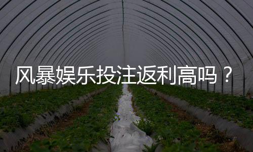 风暴娱乐投注返利高吗？揭秘高返利平台的真实体验