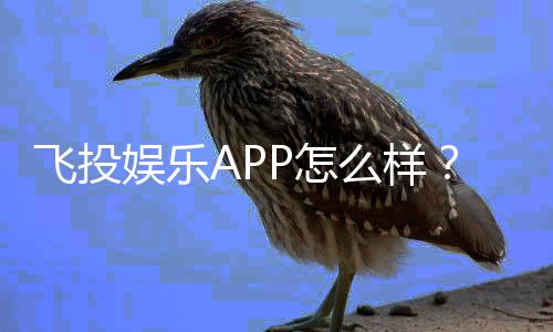 飞投娱乐APP怎么样？资深玩家亲测体验与玩法解析