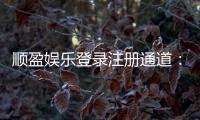 顺盈娱乐登录注册通道：快速注册指南与游戏体验分享