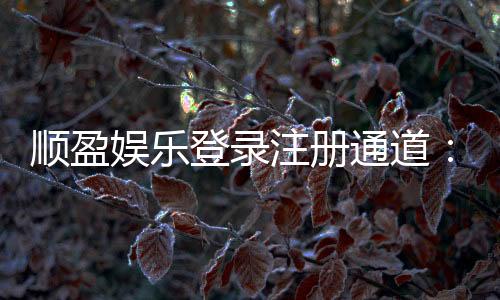 顺盈娱乐登录注册通道：快速注册指南与游戏体验分享