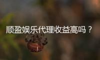 顺盈娱乐代理收益高吗？揭秘高收益背后的真实情况