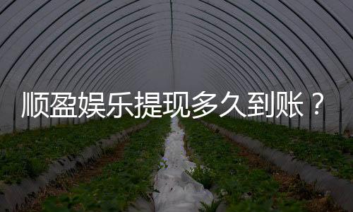 顺盈娱乐提现多久到账？实测到账时效与流程详解