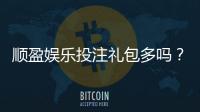 顺盈娱乐投注礼包多吗？揭秘平台福利与新手礼包详情