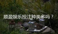 顺盈娱乐投注种类多吗？全面解析平台热门游戏与特色玩法