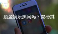 顺盈娱乐黑网吗？揭秘其真实运营内幕与玩家安全指南
