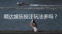 顺达娱乐投注玩法多吗？资深玩家揭秘平台特色与游戏选择