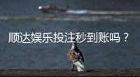 顺达娱乐投注秒到账吗？实测到账速度与平台可靠性分析