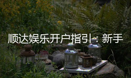 顺达娱乐开户指引：新手必看的快速注册与首存攻略