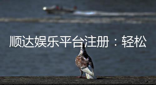 顺达娱乐平台注册：轻松完成开户畅享顶级游戏体验