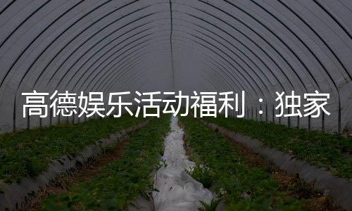 高德娱乐活动福利：独家优惠与惊喜礼包等你来拿
