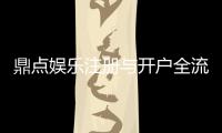 鼎点娱乐注册与开户全流程：新手必看的一站式指南