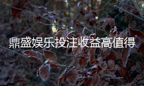 鼎盛娱乐投注收益高值得期待吗？
