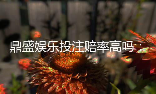 鼎盛娱乐投注赔率高吗：值得信赖的玩家选择