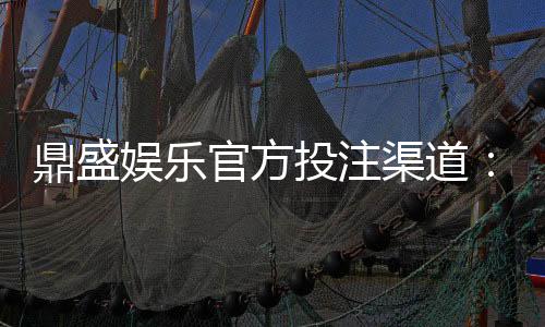 鼎盛娱乐官方投注渠道：探索安全便捷的在线娱乐平台选择