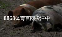 8868体育官网投注中心新手指南：注册、充值、安全与热门玩法详解