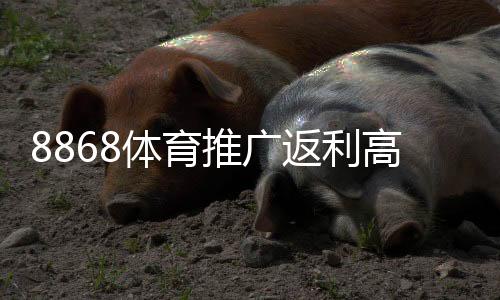 8868体育推广返利高吗？佣金比例、结算方式与真实口碑全面解析