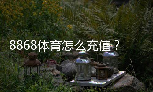 8868体育怎么充值?新手充值步骤、支付方式与常见问题全攻略