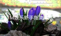 ATM娱乐新手指南：从注册到提款的完整攻略