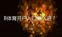 B体育开户入口怎么进？新手注册流程与安全验证全攻略