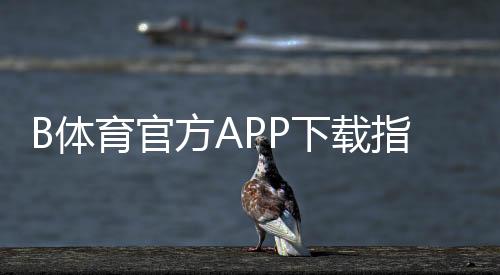 B体育官方APP下载指南：安卓苹果最新版安装、账号注册与安全验证全流程