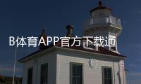 B体育APP官方下载通道：官方渠道、安装教程与安全下载攻略