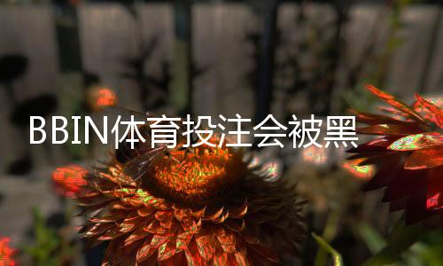 BBIN体育投注会被黑吗？全面解读安全性、常见风险与防骗指南