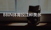 BBIN体育投注种类多吗？全面解析平台玩法分类与新手投注指南