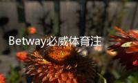 Betway必威体育注册入口怎么进？新手注册流程、优惠与安全注意事项全解析