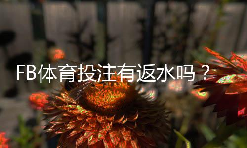 FB体育投注有返水吗?最新返水规则、比例与领取攻略