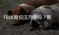 FB体育投注方便吗？新手必看操作流程、便捷性与安全性全面评测