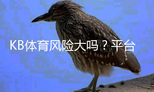 KB体育风险大吗？平台安全性、资金与法律风险全面解析为新手识别与防范风险提供指导