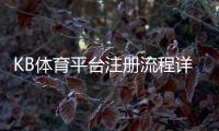 KB体育平台注册流程详解：新手快速完成注册、登录与实名认证