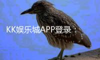 KK娱乐城APP登录：轻松畅玩棋牌电游的必备指南