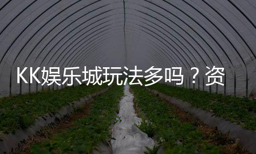 KK娱乐城玩法多吗？资深玩家带你揭秘多样游戏体验