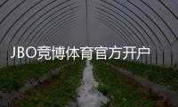 JBO竞博体育官方开户怎么注册？新手开户步骤、实名认证与常见问题详解