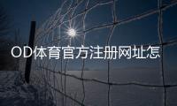 OD体育官方注册网址怎么注册？最新官方注册流程、验证方法与常见问题解答