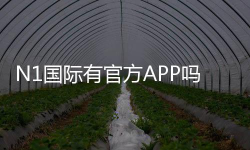 N1国际有官方APP吗？下载、安装与真假辨别全面解析
