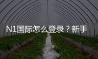 N1国际怎么登录？新手登录步骤详解与常见问题快速解决